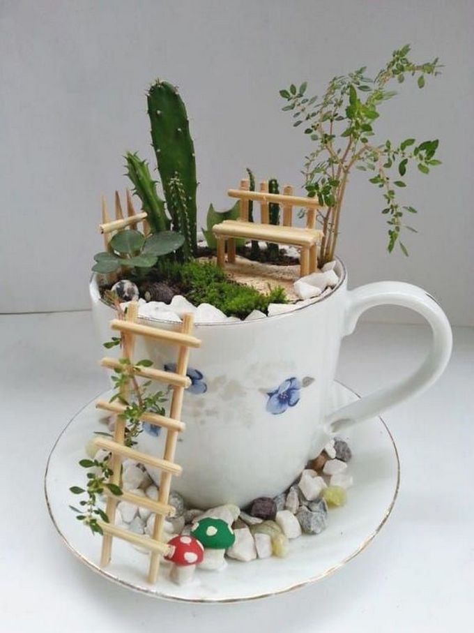 Tea cup fairy garden 5